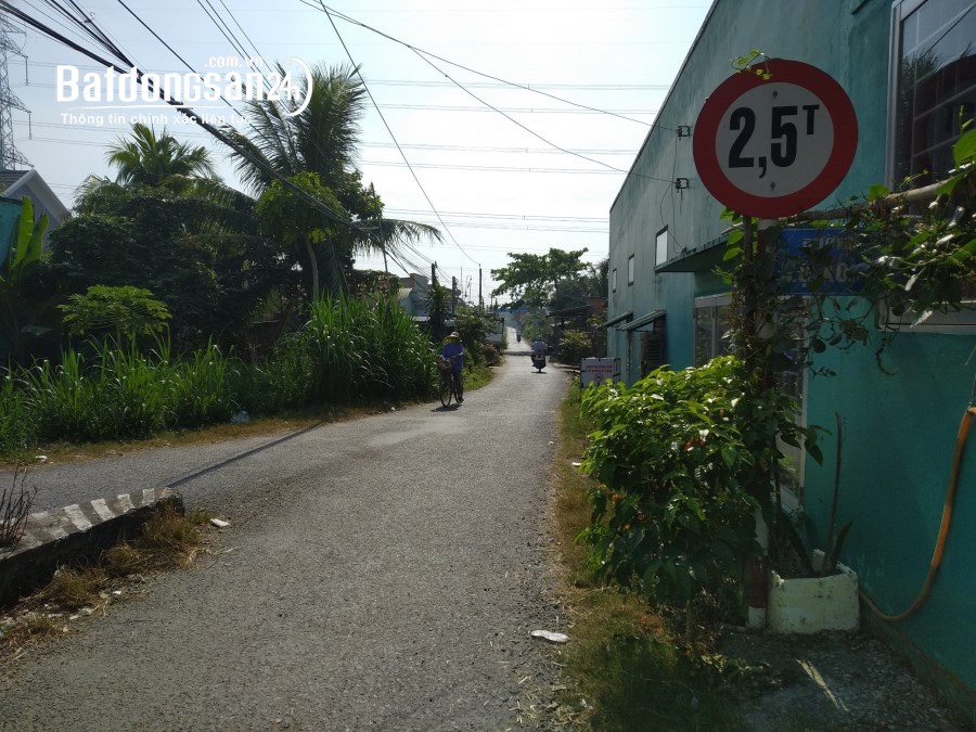 Đất bằng phẳng nằm trong tứ giác Đại học Tiền Giang & Bệnh viện Tiền Giang