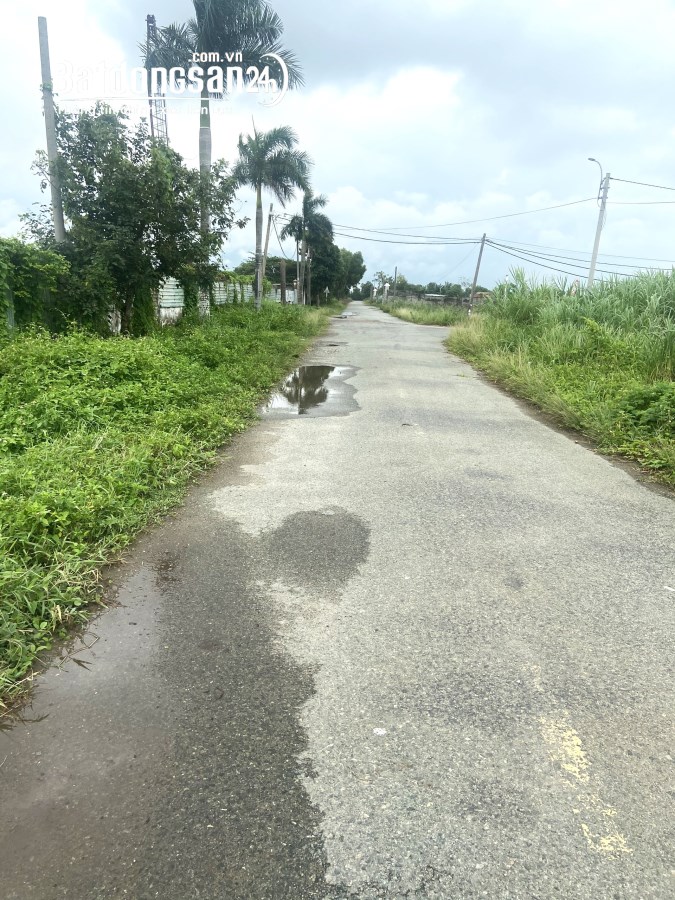 Bán đất Đường Xuân Thới Sơn, Xã Xuân Thới Sơn, Huyện Hóc Môn