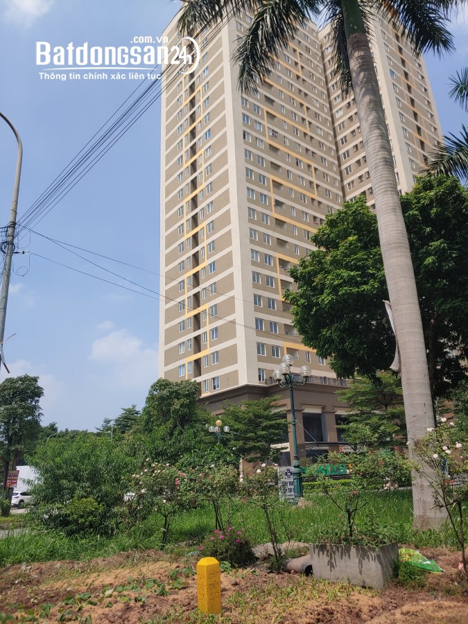 BÁN CĂN HỘ CHUNG CƯ XPHOME STAR - HỖ TRỢ VAY VỐN - NHẬN NHÀ Ở NGAY
