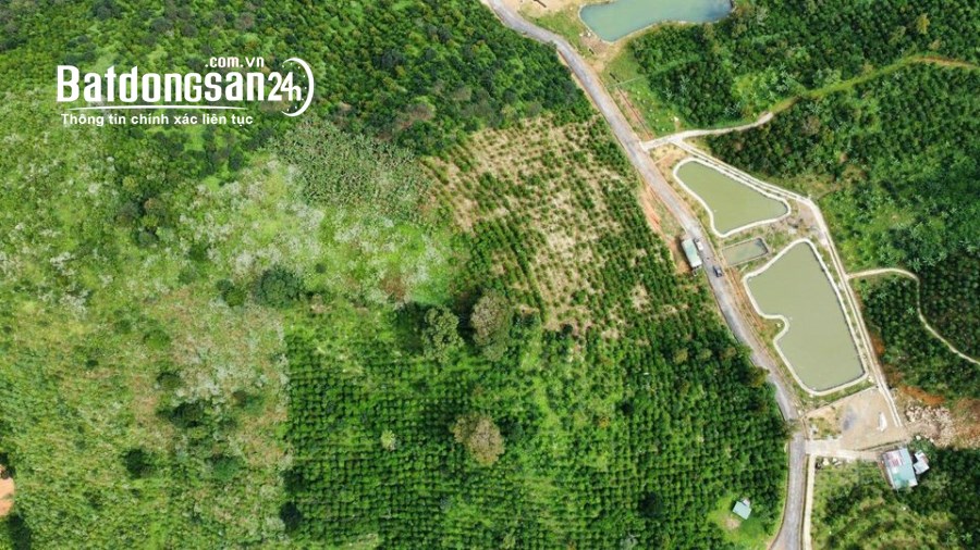 Bán 73ha đất nông nghiệp xã Lộc Bắc, Huyện Bảo Lâm, Lâm Đồng