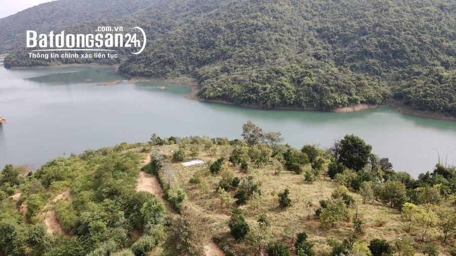 Bán 2,6ha đất giáp hồ Xã Lộc Nam, Bảo Lâm, Lâm Đồng