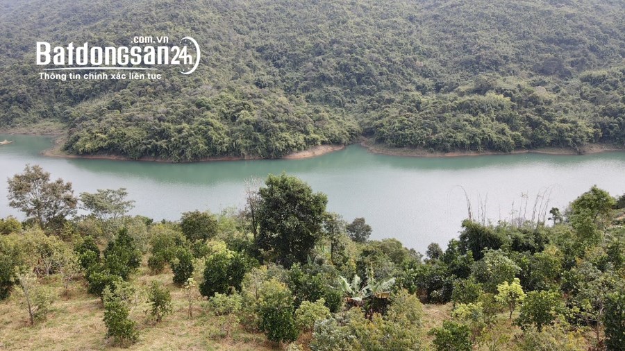 Bán 2,6ha đất giáp hồ Xã Lộc Nam, Bảo Lâm, Lâm Đồng