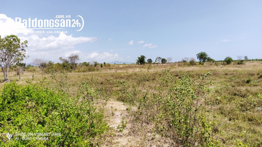 394m2 đất hàng năm, 3 mặt tiền, view sông siêu đẹp