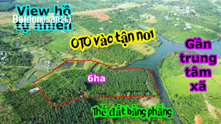 6ha đất rẫy view hồ tự nhiên, khu đông dân, đất bằng, nguồn thu mạnh