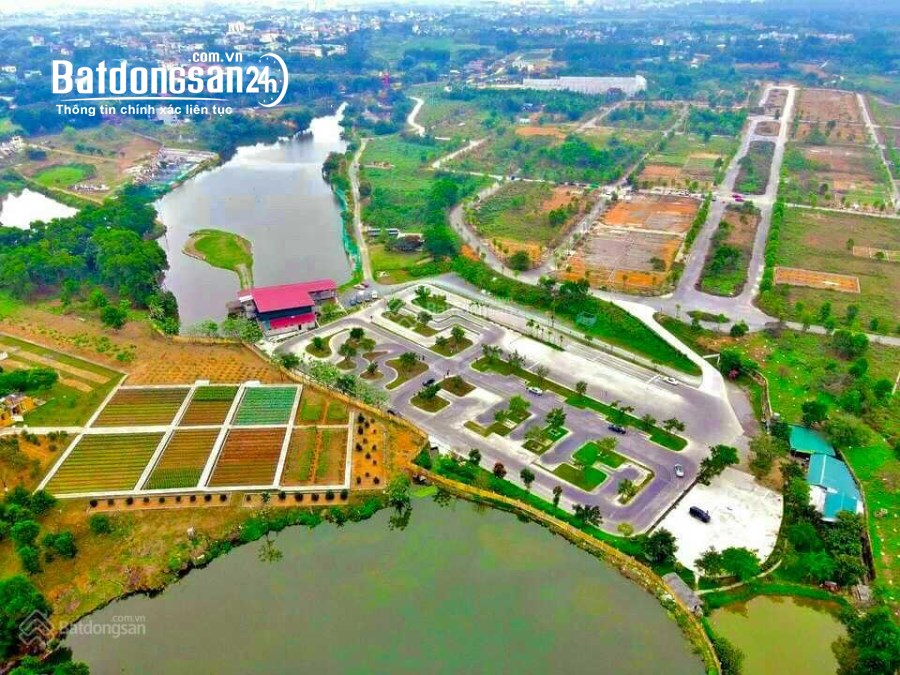 Bán đất Đường 21, Huyện Thạch Thất