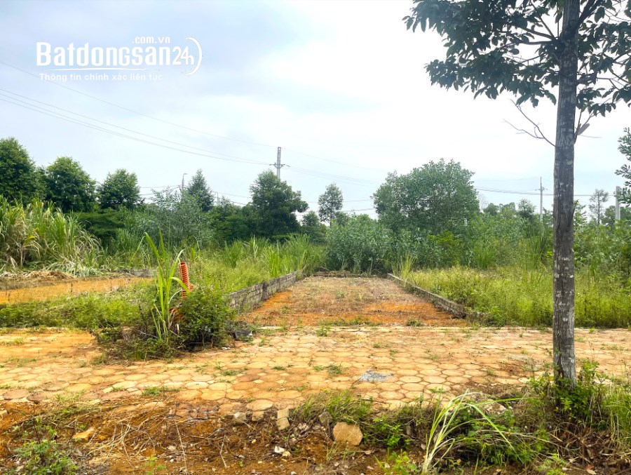 Bán đất Đường 21, Xã Thạch Hòa, Huyện Thạch Thất