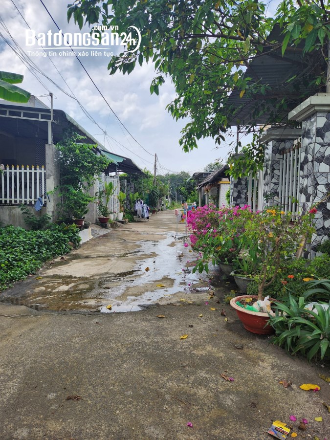 Đất gần khu dân cư Trảng Cát, Hắc Dịch, Phú Mỹ, Bà Rịa – Vũng Tàu