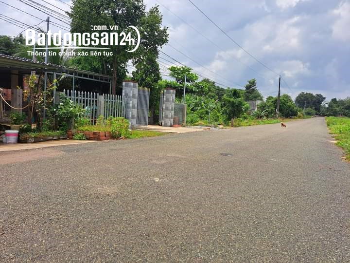 CẦN TIỀN BÁN GẤP LÔ ĐẤT 1500M2 MT 12M NGAY QL13 SÁT CHỢ, KCN DÂN ĐÔNG GIÁ 180TR