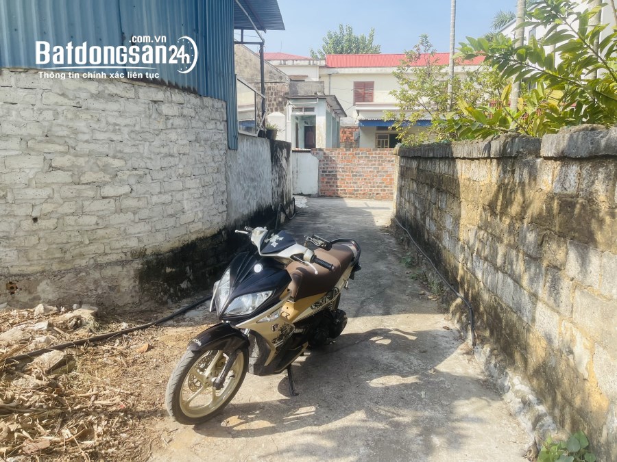 Bán đất Đường 359, Xã Thủy Triều, Huyện Thuỷ Nguyên