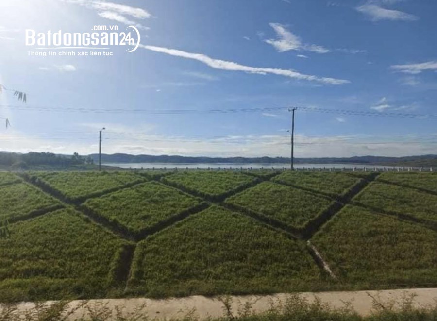 Cần bán nhà 7.5 x 50m mặt tiền ql28b, ngay chợ Ninh Gia, gần ngay ngã 3, Giá 6 tỷ 500