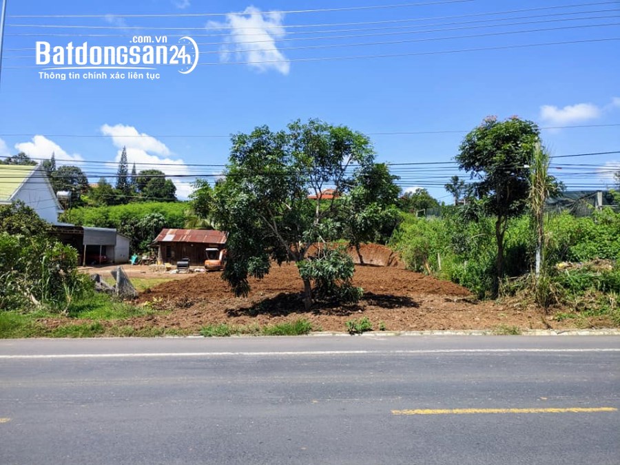 Bán đất Đường Quốc Lộ 20, Xã Phú Hội, Huyện Đức Trọng