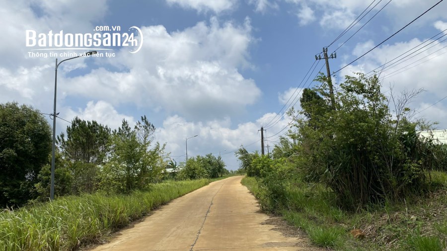 BÁN ĐẤT THÔN TU RẰNG -XÃ MĂNG CÀNH - H,KON PLONG -T,KON TUM DT:1000M2