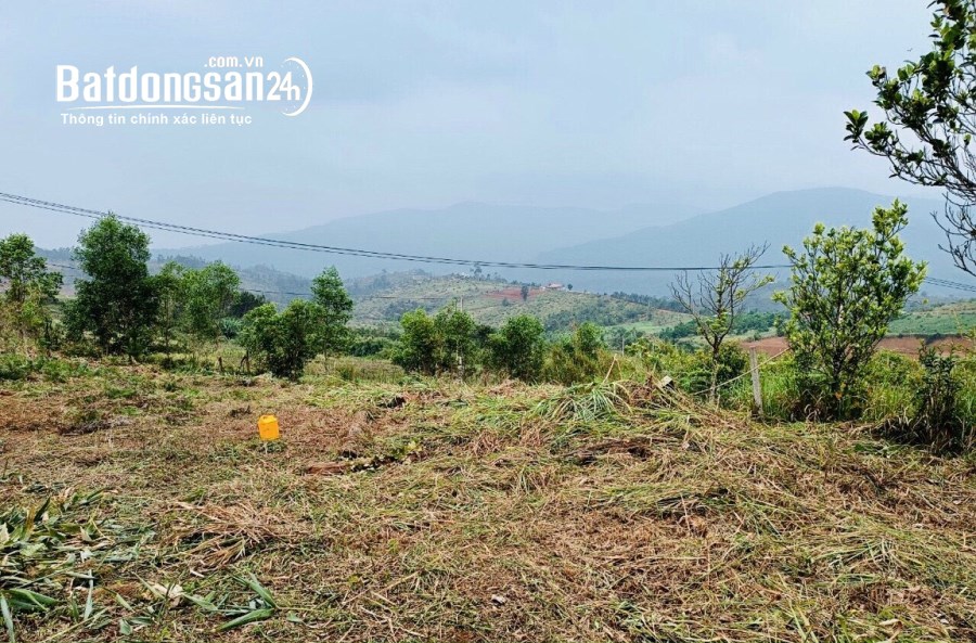BÁN ĐẤT THÔN TU RẰNG -XÃ MĂNG CÀNH - H,KON PLONG -T,KON TUM DT:1000M2