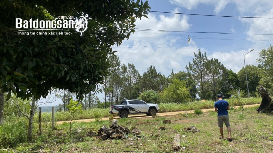 BÁN ĐẤT THÔN TU RẰNG -XÃ MĂNG CÀNH - H,KON PLONG -T,KON TUM DT:1000M2