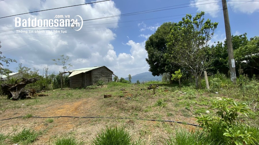 BÁN ĐẤT THÔN TU RẰNG -XÃ MĂNG CÀNH - H,KON PLONG -T,KON TUM DT:1000M2