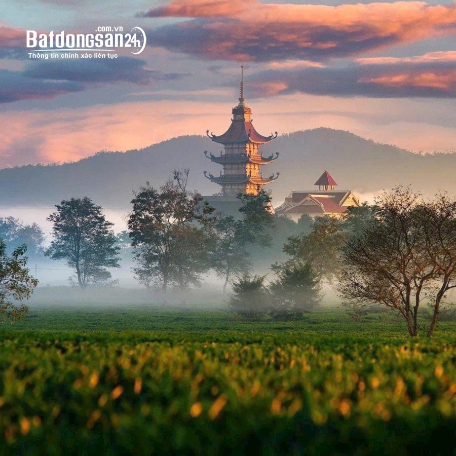 Đất thổ cư TPPleiku view Biển Hồ chỉ 800 tiệu