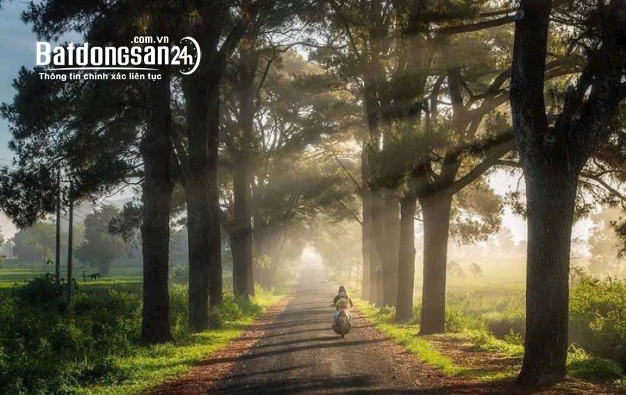 Đất thổ cư TPPleiku view Biển Hồ chỉ 800 tiệu