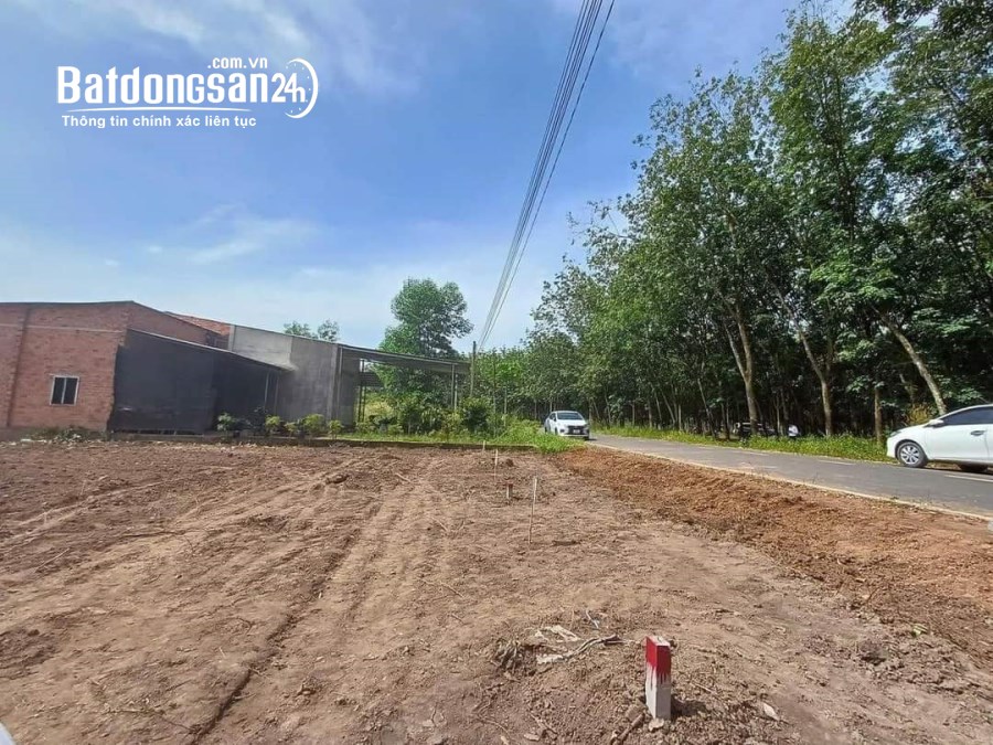 Bán đất Đường ĐT, Xã Tân Khai, Huyện Hớn Quản