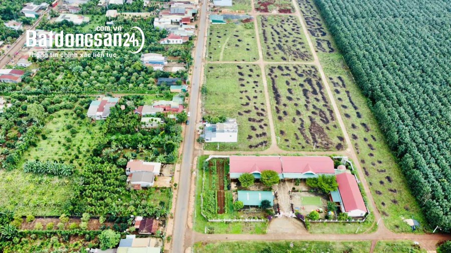 💥 Cần Bán Nhanh đất nền Chợ Phú Lộc