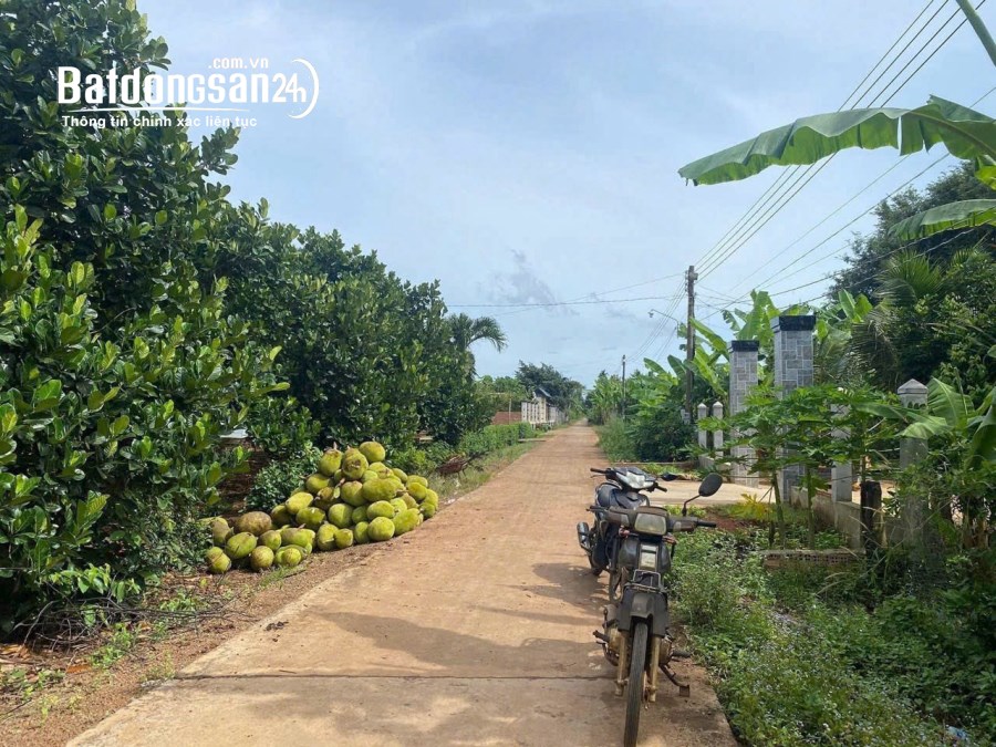 Bán đất Đường Quốc lộ 14, Xã Đồng Tiến, Huyện Đồng Phú
