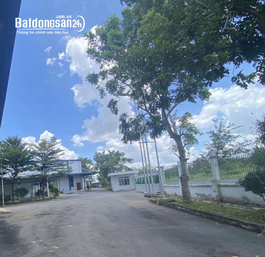 Cho thuê  kho xưởng Đường Số 1 KCN HIÊP PHƯỚC .Huyện Nhà Bè