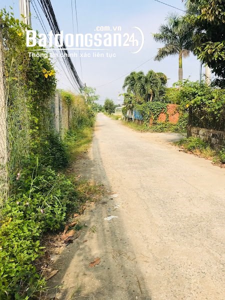 Bán Nhà Vườn Tân Bình Vĩnh Cửu. Dt 1300m có thổ cư, đường 7m, giá rẻ 