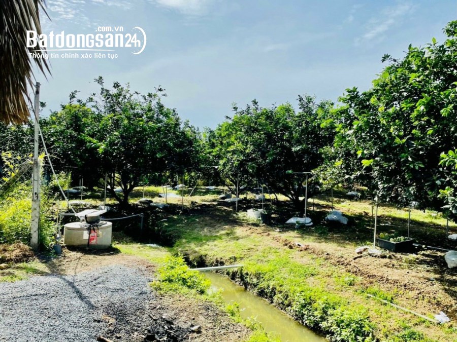 Bán Nhà Vườn Tân Bình Vĩnh Cửu. Dt 1300m có thổ cư, đường 7m, giá rẻ 