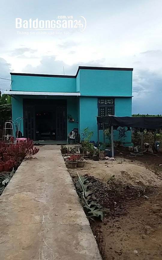 Cần bán nhà cấp 4 cùng mảnh đất 1000m2 chính chủ có thương lượng