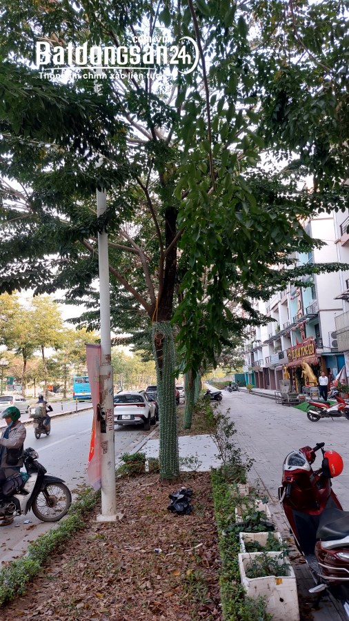 Bán nhà mặt phố Đường Trịnh Văn Bô, Phường Xuân Phương, Quận Nam Từ Liêm