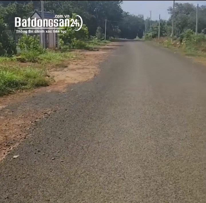 Bán đất Đường Tỉnh lộ 741, Xã An Bình, Huyện Phú Giáo