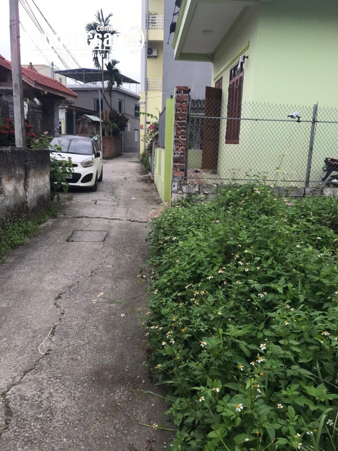 Bán đất Đường 359, Xã Hòa Động, Huyện Thuỷ Nguyên