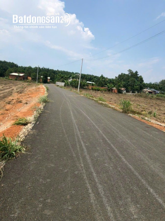 Bán đất Đường DH507, Xã An Thái , Huyện Phú Giáo