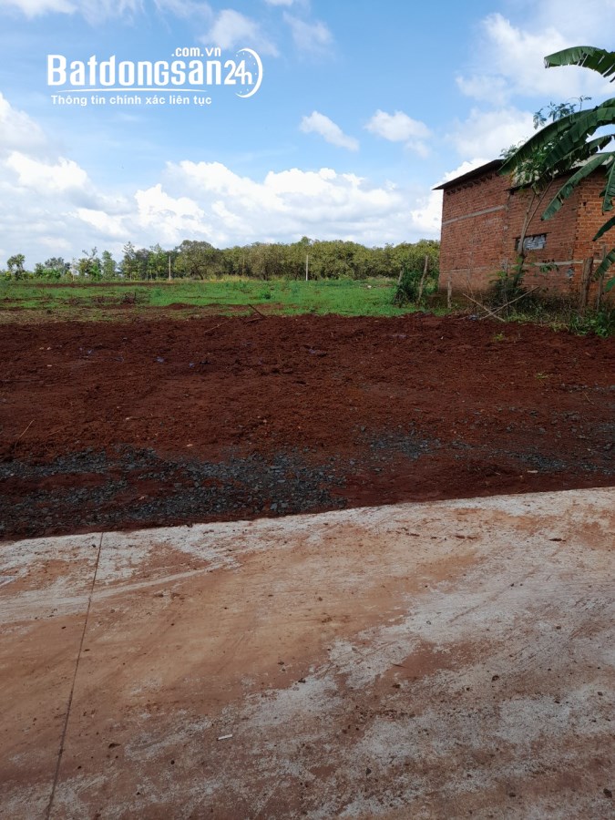 Bán đất Đường DH507, Xã An Thái , Huyện Phú Giáo