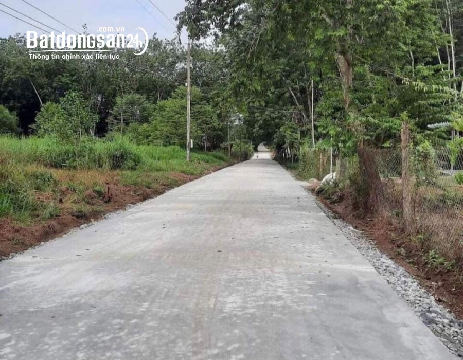 Bán đất Đường 18/9, Xã Phước Hòa , Huyện Phú Giáo