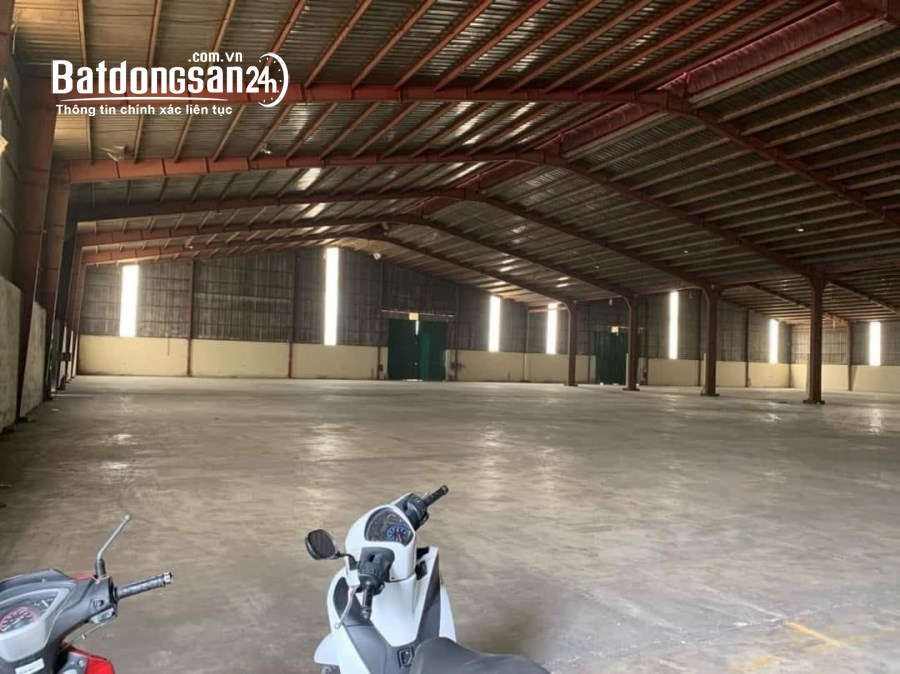 Cho thuê đất riêng, kho xưởng Đường ĐT 743, Phường An Phú, Tp - Thuận An