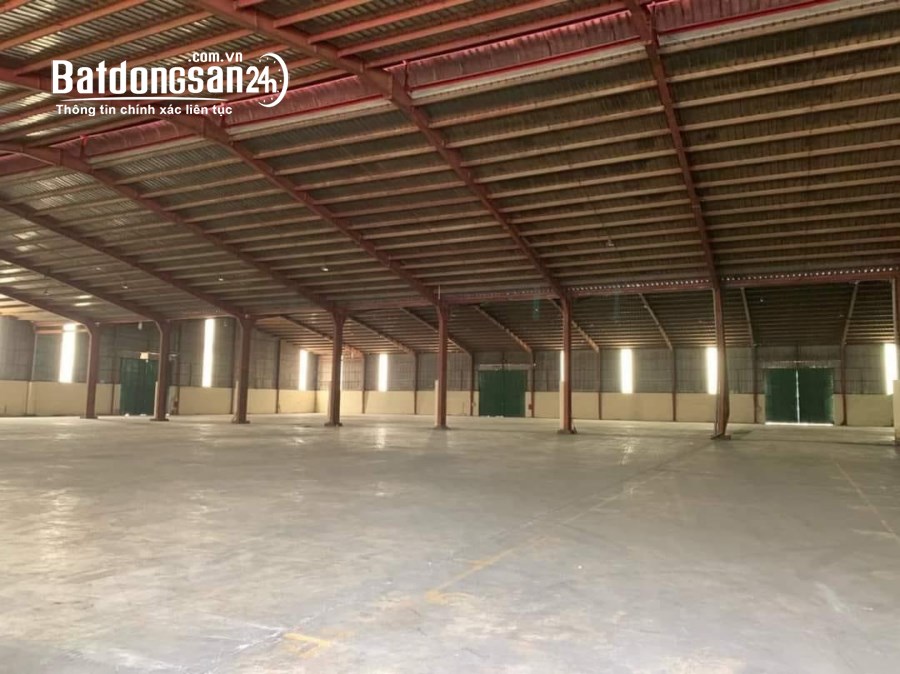 Cho thuê đất riêng, kho xưởng Đường ĐT 743, Phường An Phú, Tp - Thuận An