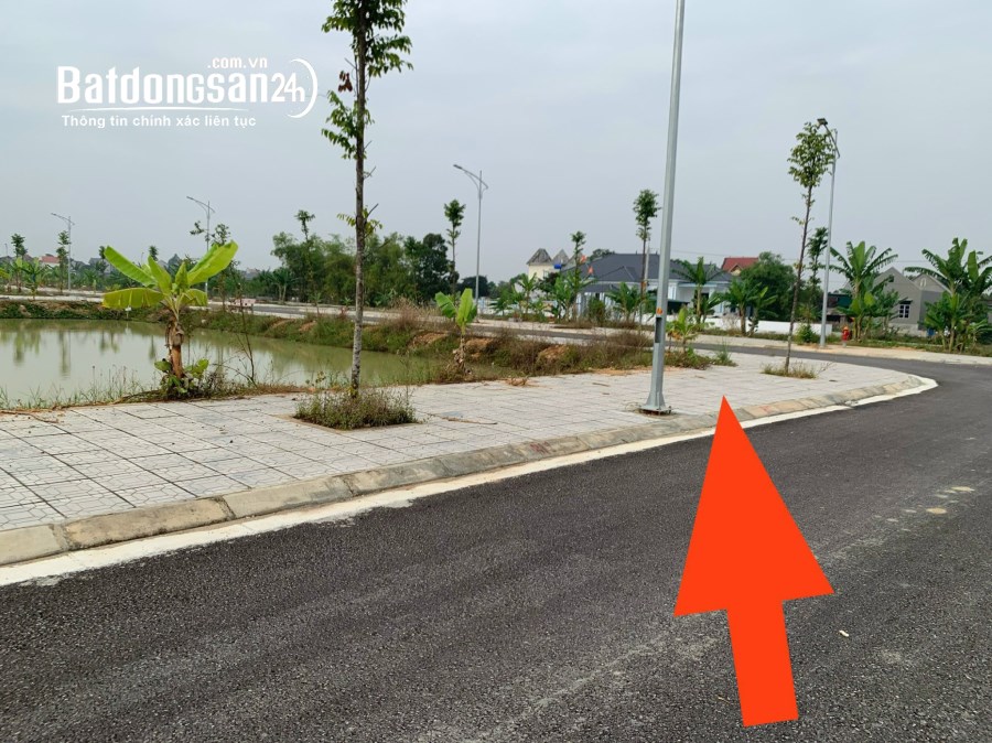 Hot Hot Hot Mb 3164 Tâm điểm của toàn bộ nhà đầu tư