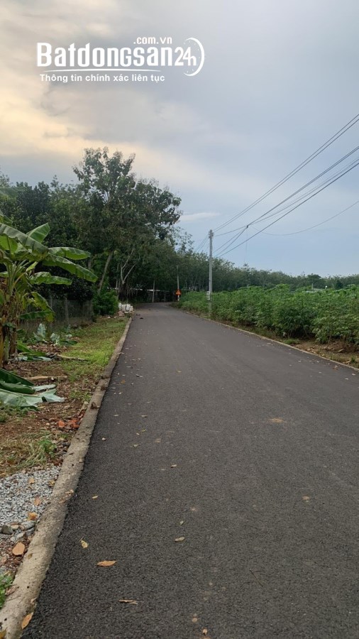cần tiền bán gấp lô đất 593,8 mét, có sẵn 100 m2 thổ cư, giá bán 475 triệu 