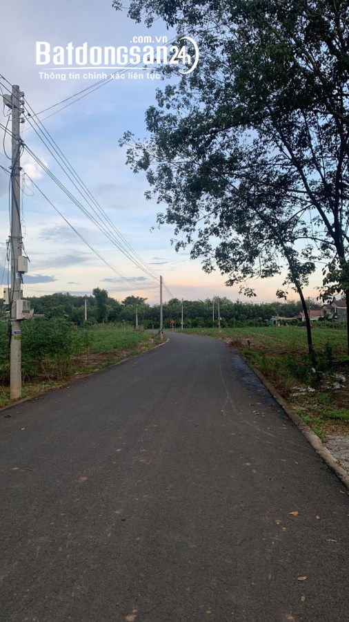 cần tiền bán gấp lô đất 593,8 mét, có sẵn 100 m2 thổ cư, giá bán 475 triệu 