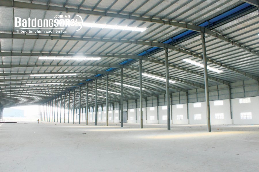 Cho thuê đất riêng, kho xưởng Đường ĐT 743, Phường Bình Chuẩn, Tp - Thuận An