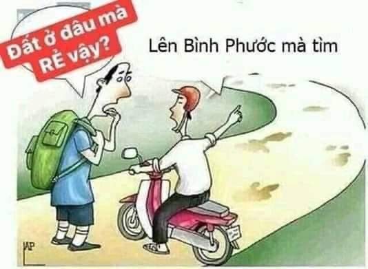 Bán đất Đường 14, Xã Tân Phước, Huyện Đồng Phú