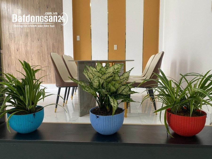 NHÀ 2 TẦNG KIỆT PHAN CHU TRINH THÔNG LƯƠNG VĂN CĂN - 49M2 - GIÁ 1,X TỶ