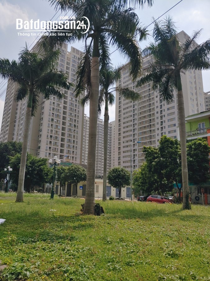CẦN BÁN CĂN CHUNG CƯ TÂN TÂY ĐÔ – ĐAN PHƯỢNG