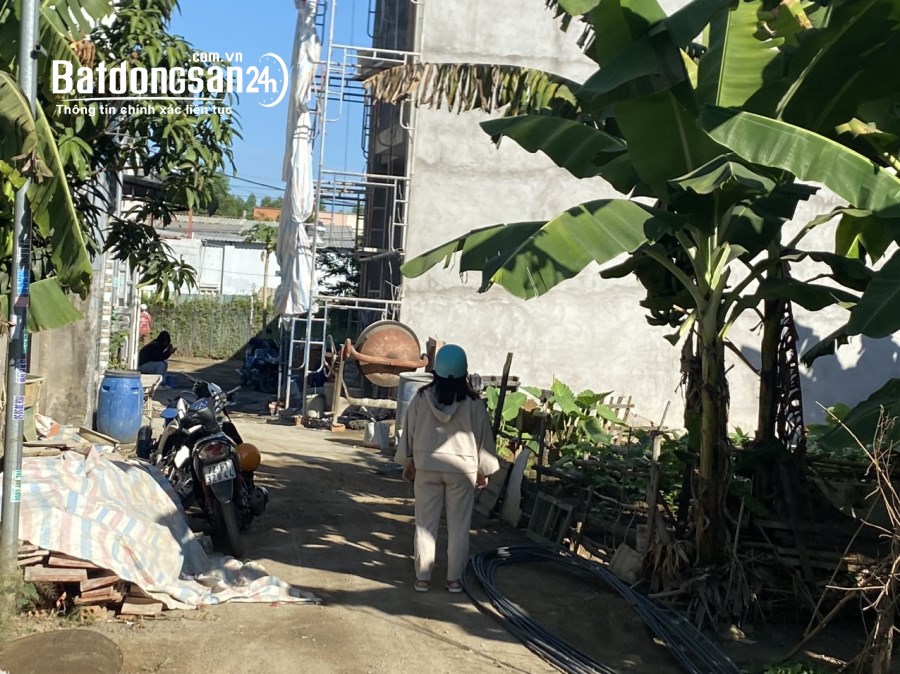 Bán đất sổ ĐSH P. Tân Hạnh, DT; 50m giá siêu ngộp, đất hồng, nhà dân fuli kín, hẻm 3m