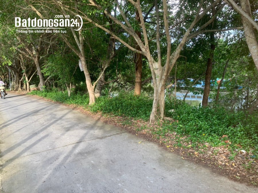 Nền Thổ Cư 100m2 Kế Chợ Bông Vang, Mỹ Khánh Phong Điền, TPCT