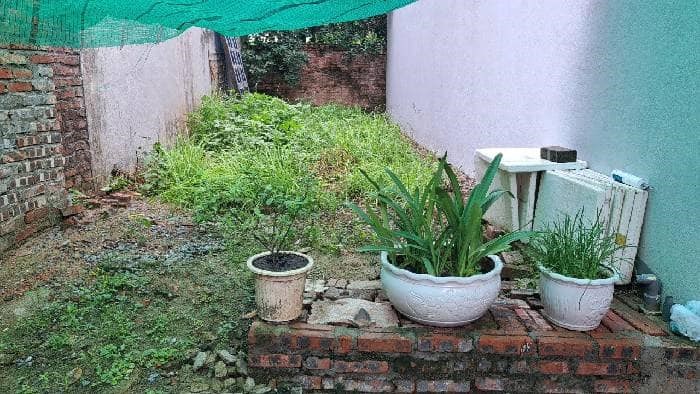 Bán đất mặt phố Đường Xuân Đỗ, Phường Cự Khối, Quận Long Biên