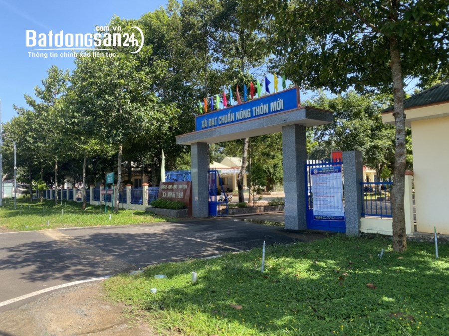 Bán đất Đường 13, Xã Thanh Phú, Thị xã Bình Long