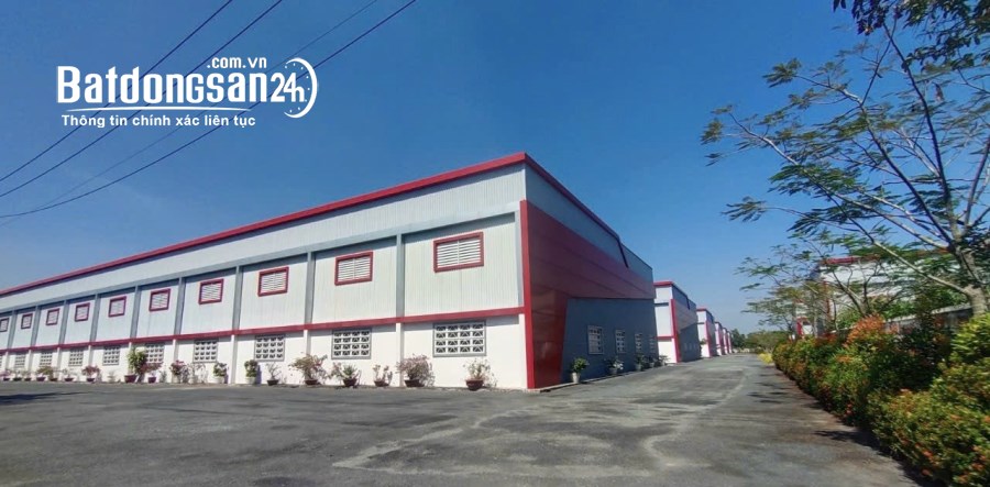 Cho thuê đất riêng, kho xưởng Đường Tỉnh lộ 835, Thị trấn Cần Giuộc, Huyện Cần Giuộc