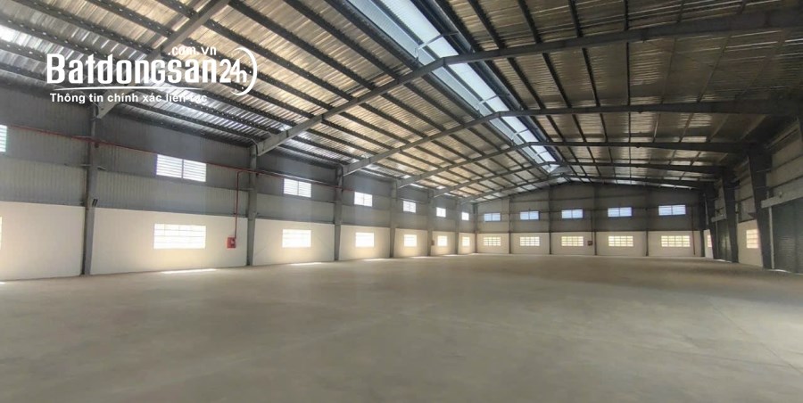 Cho thuê đất riêng, kho xưởng Đường Tỉnh lộ 835, Thị trấn Cần Giuộc, Huyện Cần Giuộc