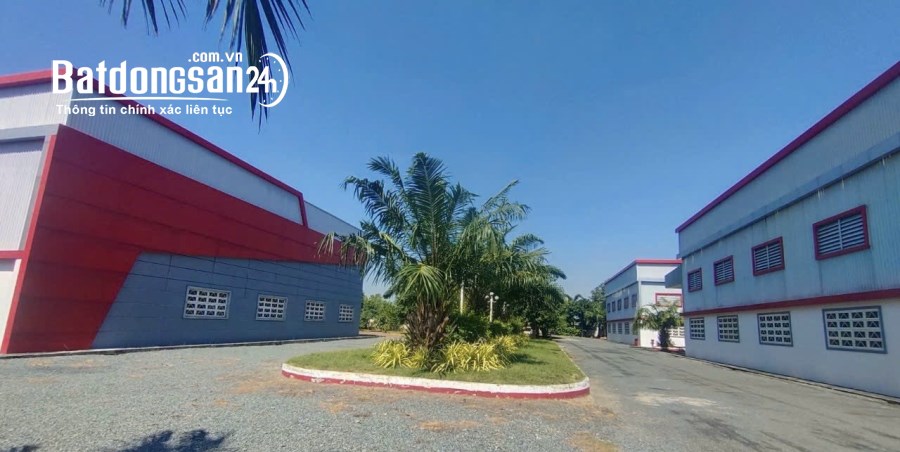 Cho thuê đất riêng, kho xưởng Đường Tỉnh lộ 835, Thị trấn Cần Giuộc, Huyện Cần Giuộc